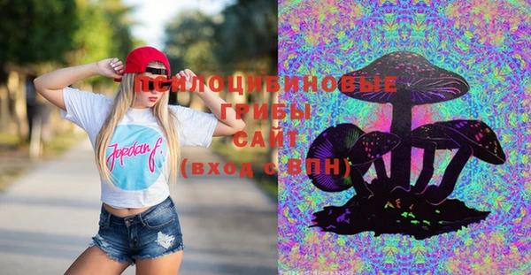 не бодяженный Тобольск
