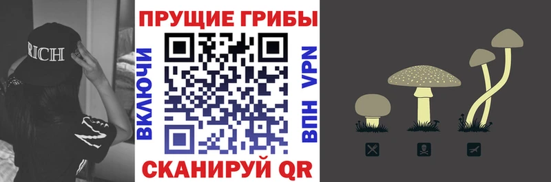 Псилоцибиновые грибы мухоморы магазин продажи Южно-Сухокумск